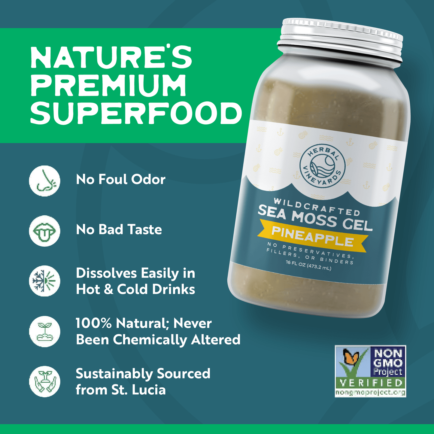 EXCLUSIVE PINEAPPLE SEA MOSS GEL