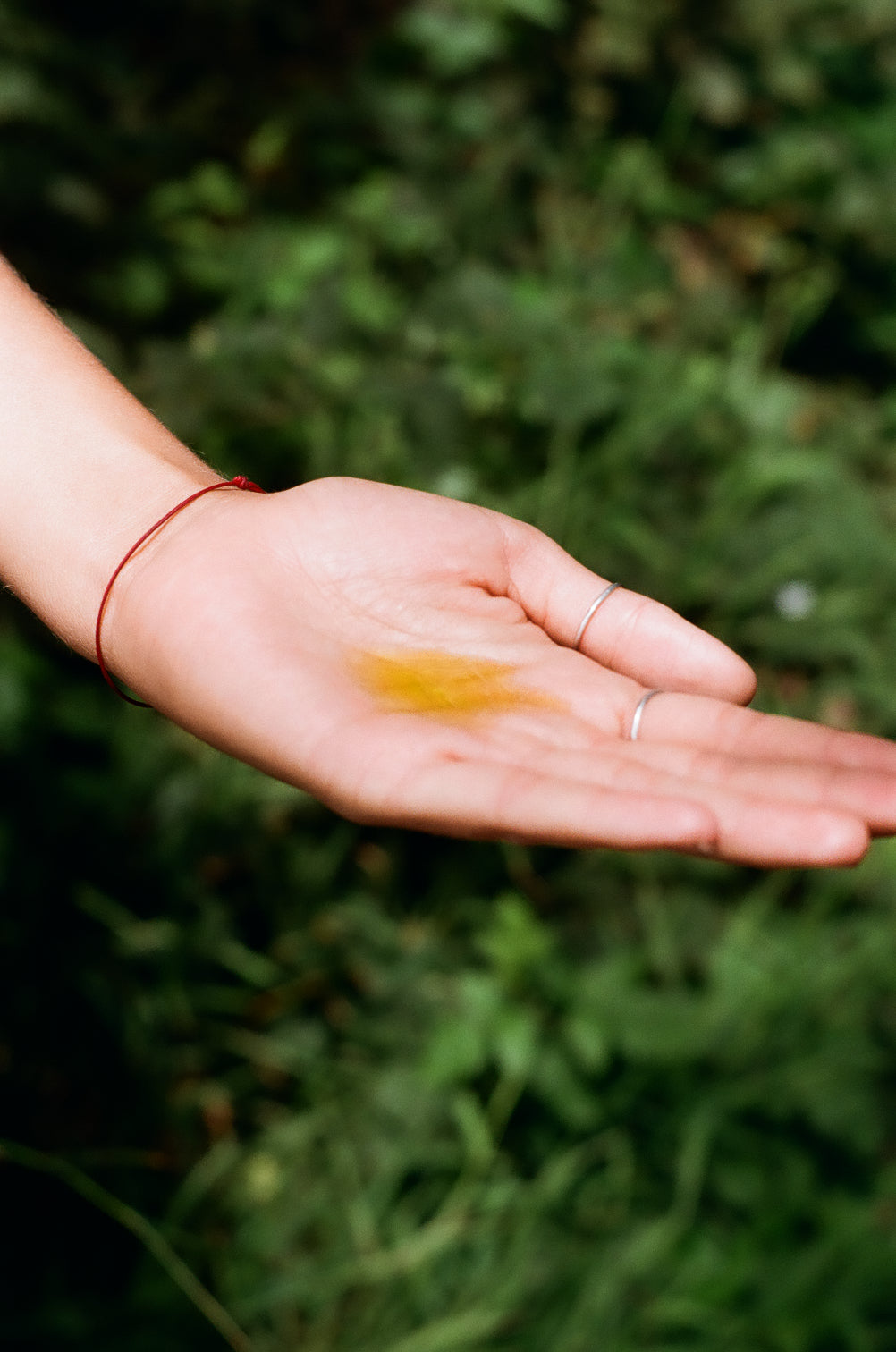 Heat Wave Body Oil