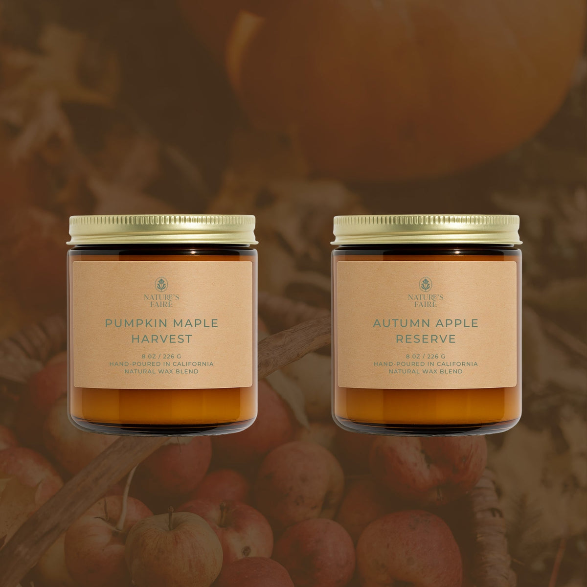 Fall Top Picks