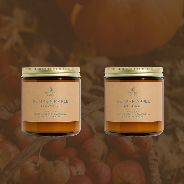 Fall Top Picks