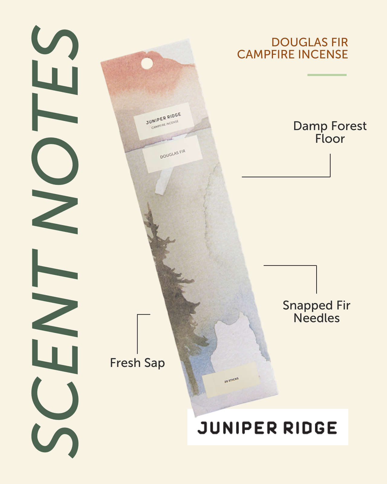 Douglas Fir Campfire Incense (20 Sticks) 3-Pack