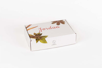Natural Soap Gift Set