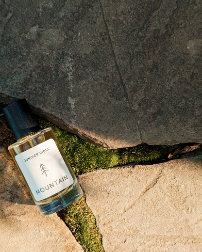 Mountain Wilderness Cologne