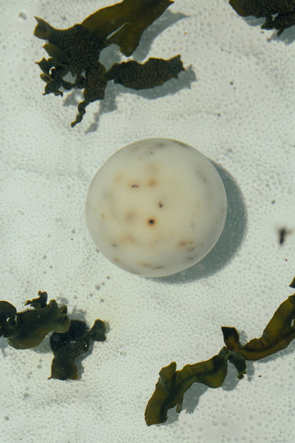 Sea Change – Seaweed Sphere Soap | Bladderwrack & Neroli
